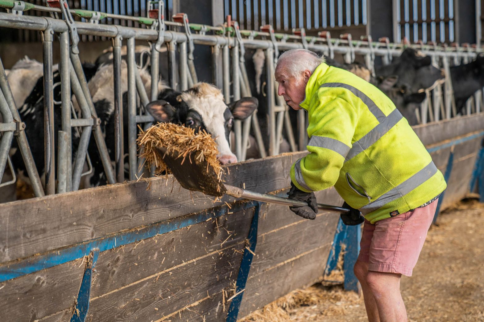 Helping Woodbridge Farm and Dorset Blue Vinny build a future proof