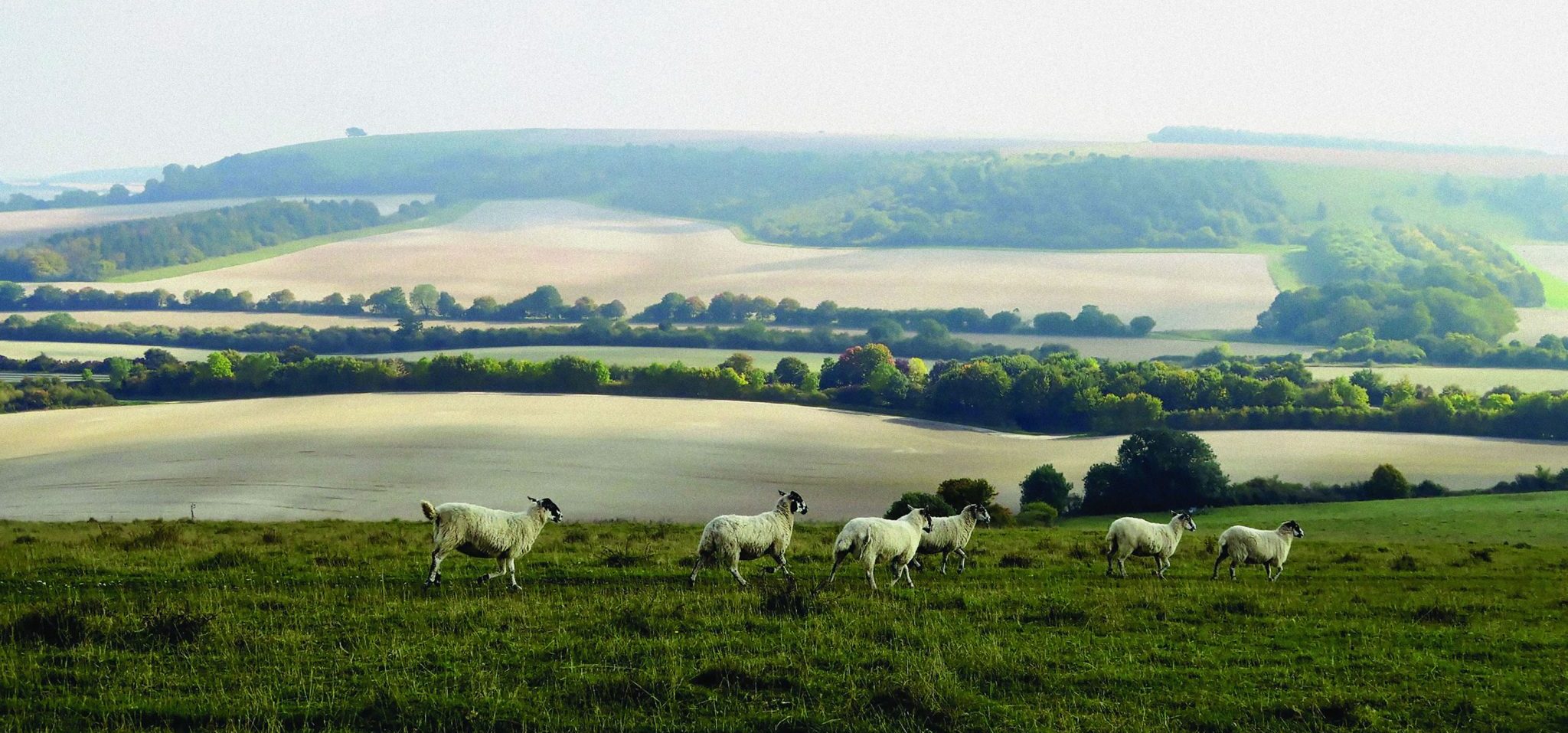 a-practical-guide-to-agricultural-law-and-tenancies-by-christopher