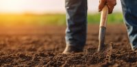 Tax considerations when leasing farmland